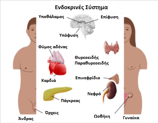αιτίες των βασικών ορμονικών προβλημάτων