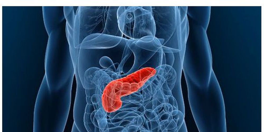 ανθρώπινο πάγκρεας