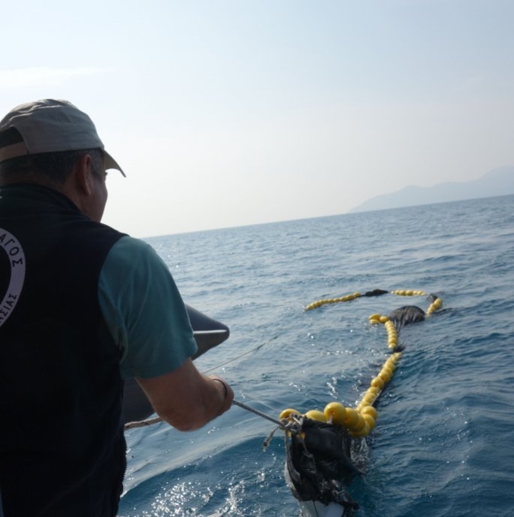 ΕΠΑΝΑΣΤΑΤΙΚΗ ΤΡΑΤΑ