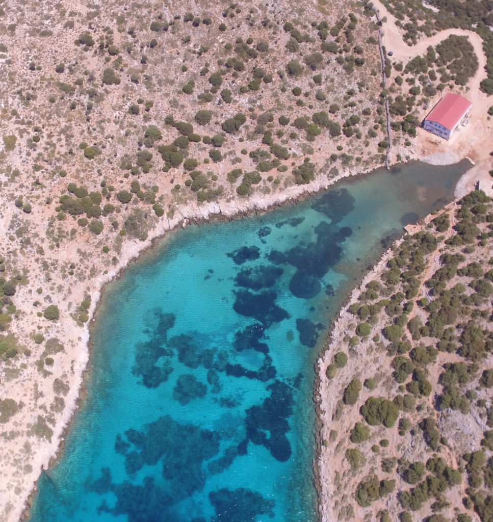 καταφύγιο απελευθέρωσης αιχμάλωτων δελφινιών