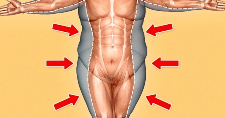 Πως φεύγει το σπλαχνικό λίπος στην κοιλιά - Healthia