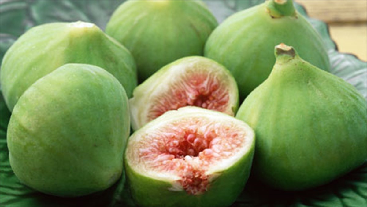 καλοκαιρινό φρούτο