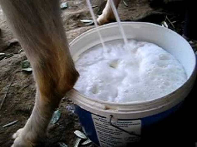 Κατσικίσιο γάλα