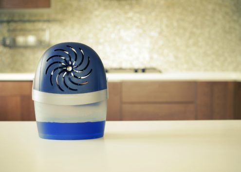 Μούχλα στους Τοίχους