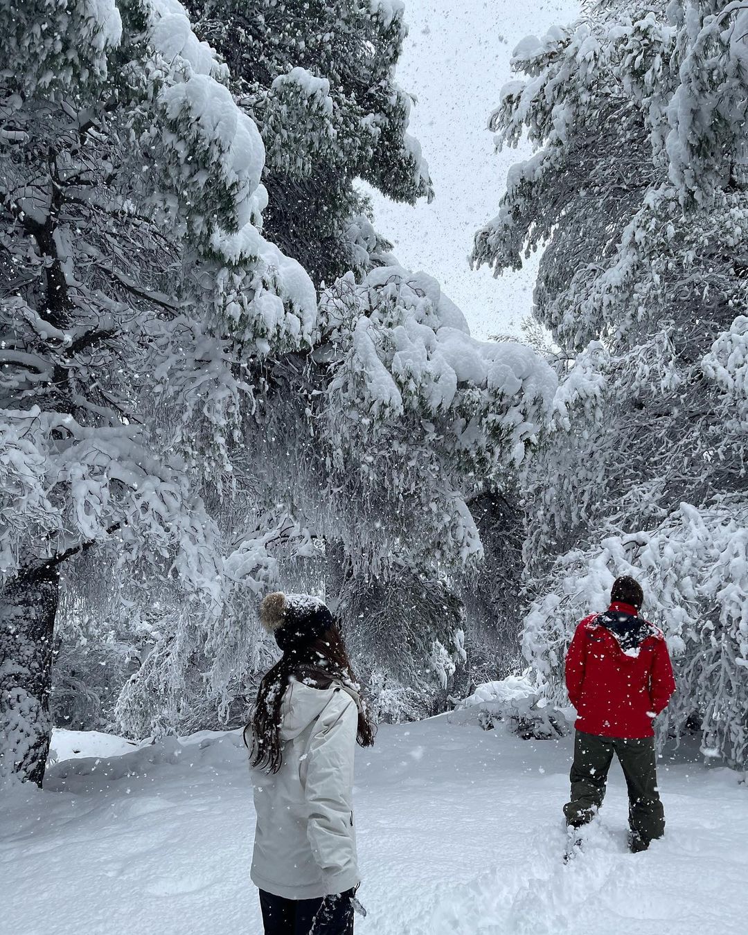 Ελένη Μενεγάκη