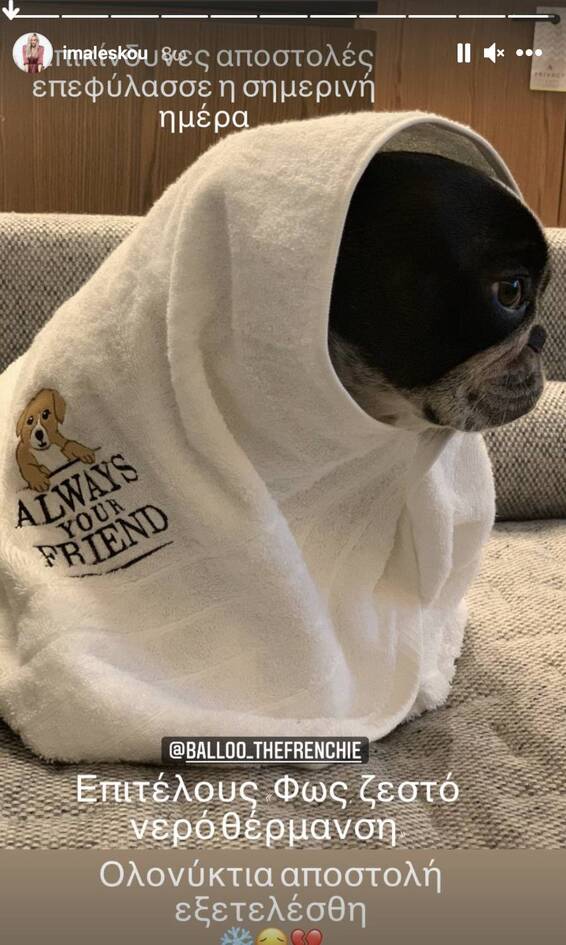 Αποκλεισμένη και σοκαρισμένη, η Ιωάννα Μαλέσκου.