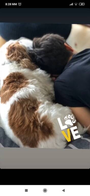 Έλλη Κοκκίνου γιος