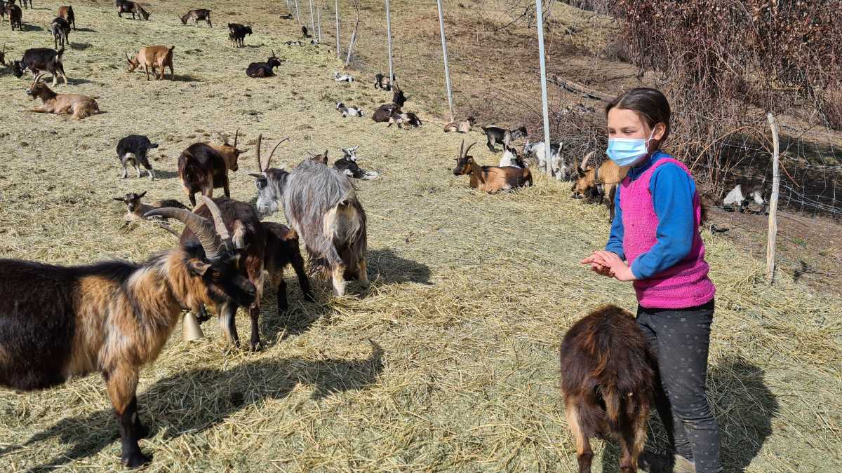 τηλεκπαίδευση στα βουνά