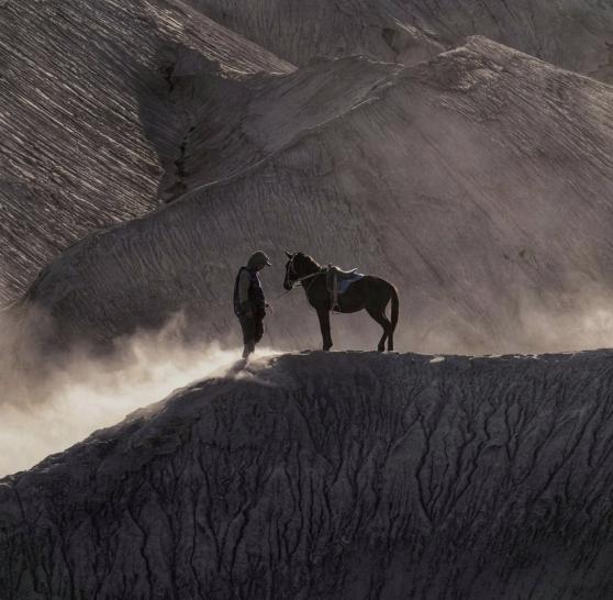 Η αληθινή ιστορία του καλύτερου φίλου του κόσμου.