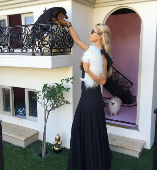 Η Πάρις Χίλτον δημιούργησε έπαυλη για τα σκυλιά της 