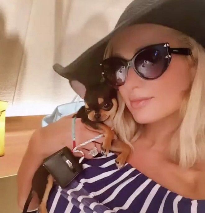 Η πανάκριβη τσάντα για τη σκυλίτσα της Πάρις Χίλτον