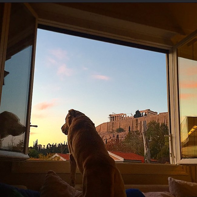 Σμαράγδα Καρύδη σπίτι