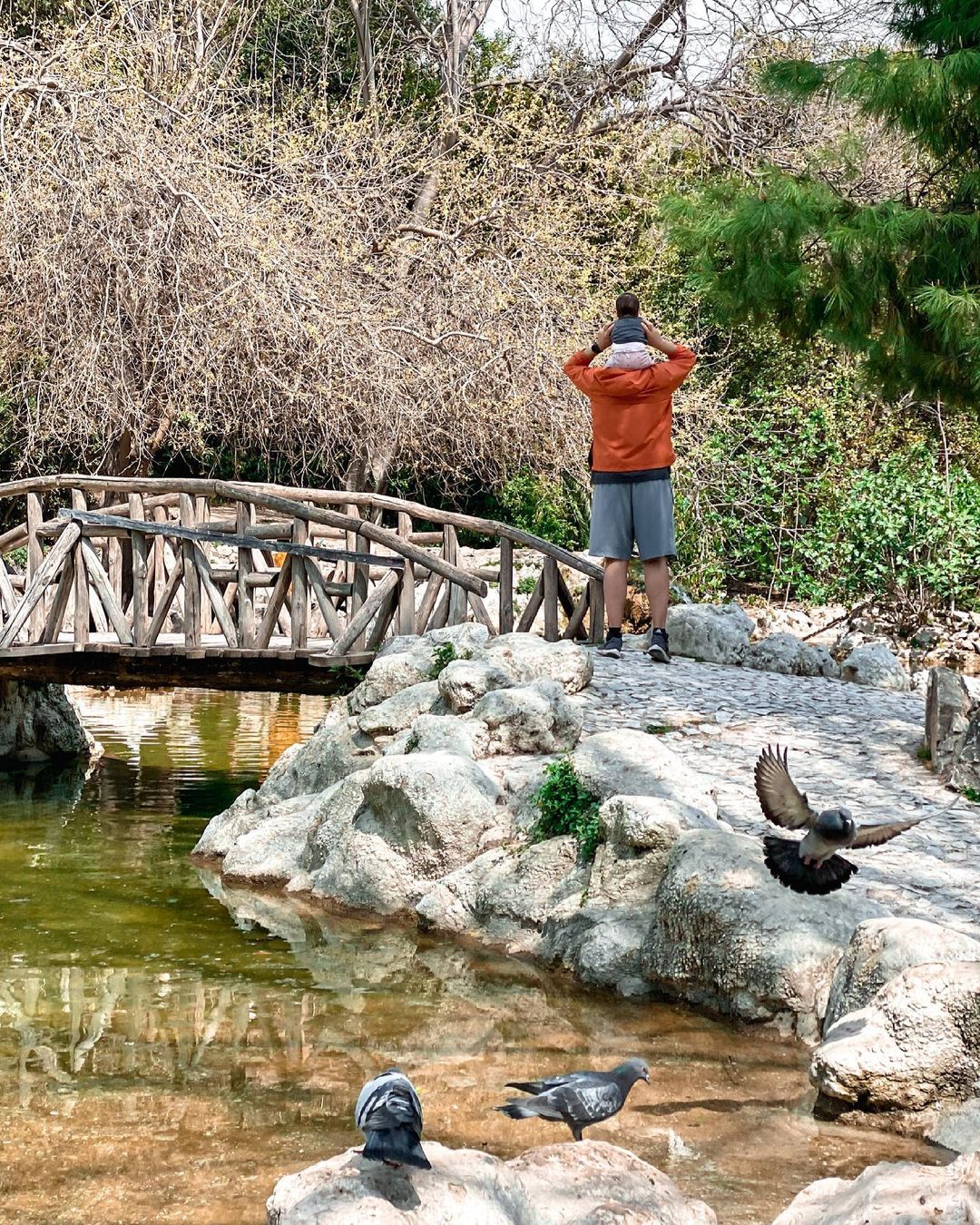 Νικολέττα Ράλλη