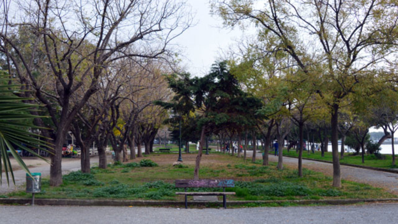 Θύμα ξυλοδαρμού στο Βόλο