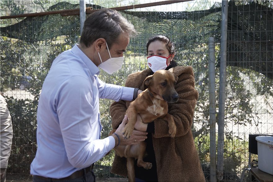 Ο Κυριάκος Μητσοτάκης υιοθέτησε σκυλάκι
