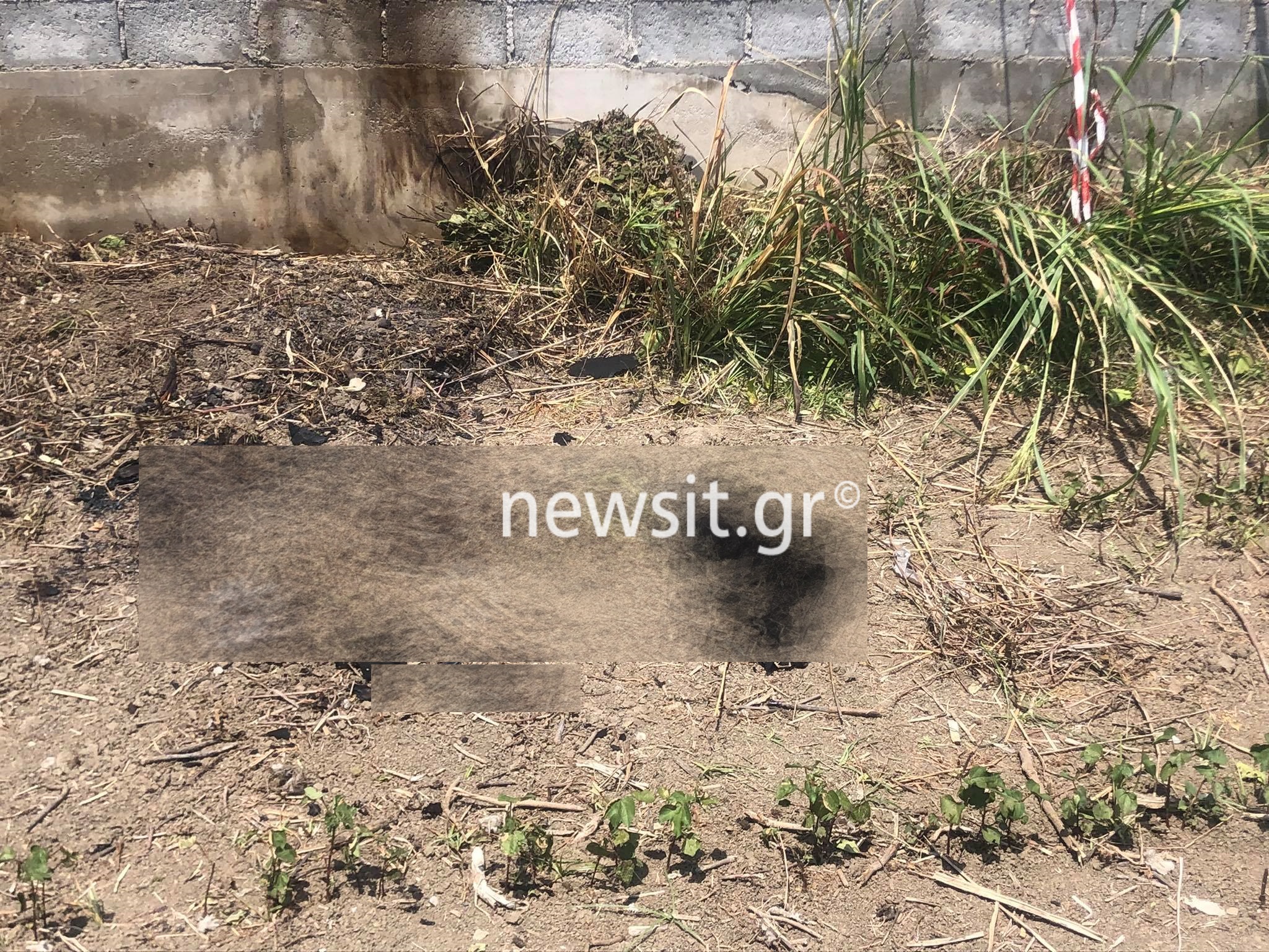 Άγριο έγκλημα στην Κατερίνη 