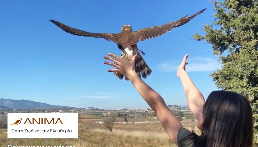 Παγκόσμια Ημέρα Περιβάλλοντος Πουλιά