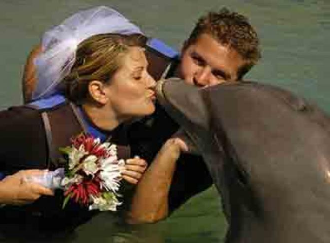 Γυναίκα παντρεύτηκε δελφίνι και έμεινε χήρα 