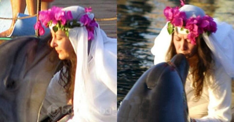 Γυναίκα παντρεύτηκε δελφίνι και έμεινε χήρα