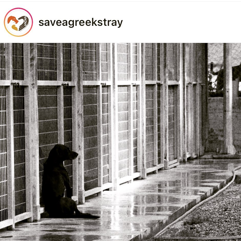 Εριέττα Κούρκουλου