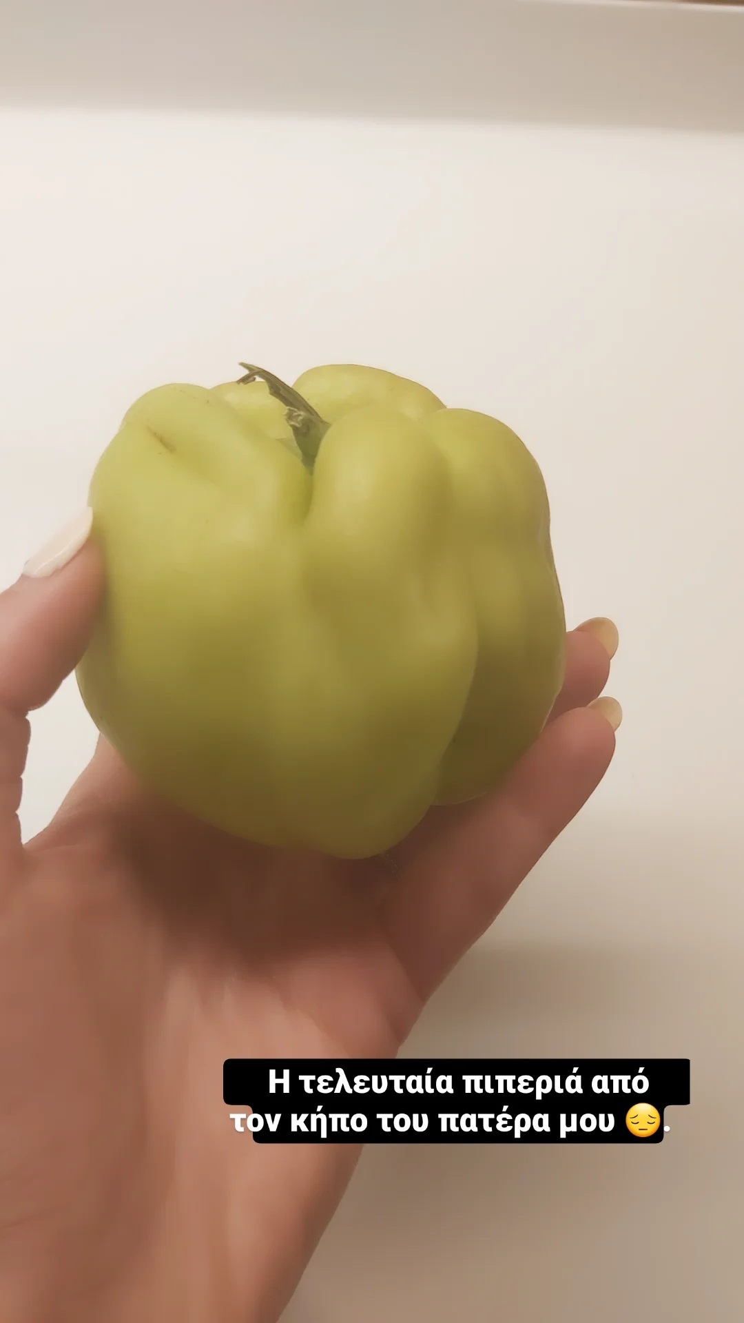  Άντα Λιβιτσάνου