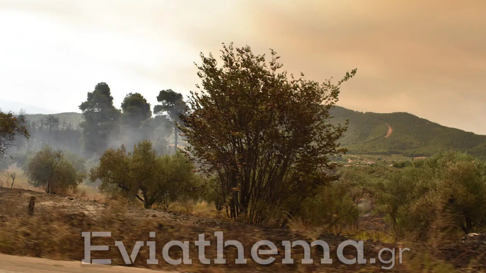 φωτιά στην Εύβοια