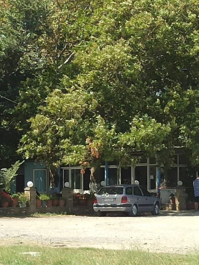 δολοφονία στη Λάρισα