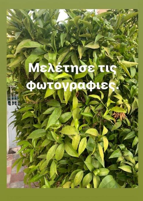 Ευαγγελία Μουμούρη