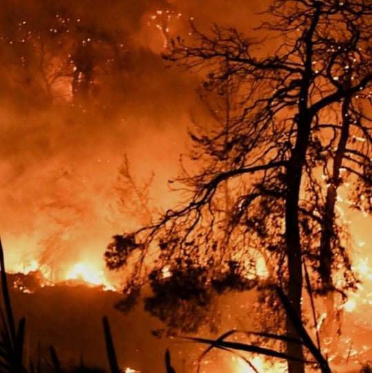 Κωστής Σαββιδάκης