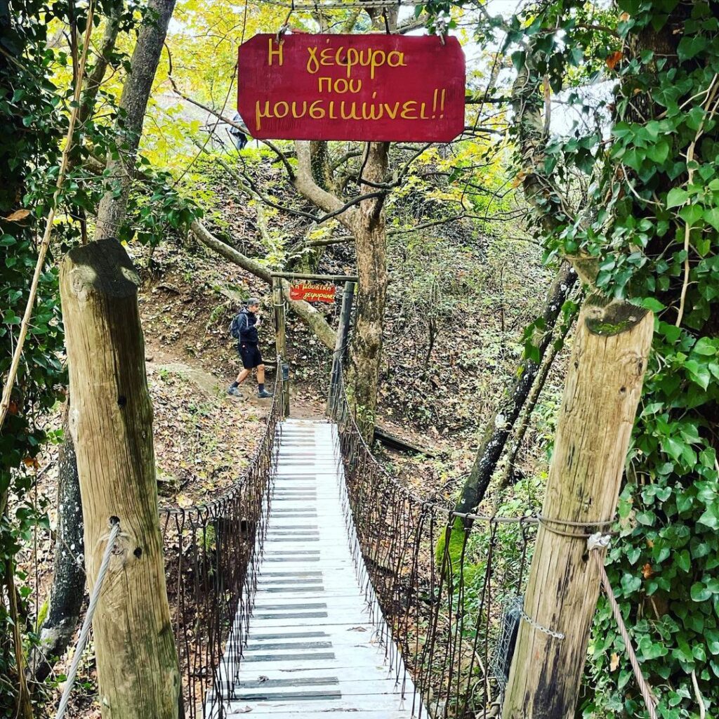 Παύλιανη Instagram