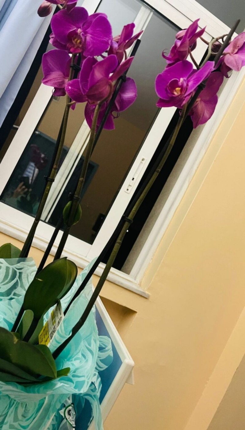 Μένιος Φουρθιώτης ανάρτηση μετά την αποφυλάκιση 