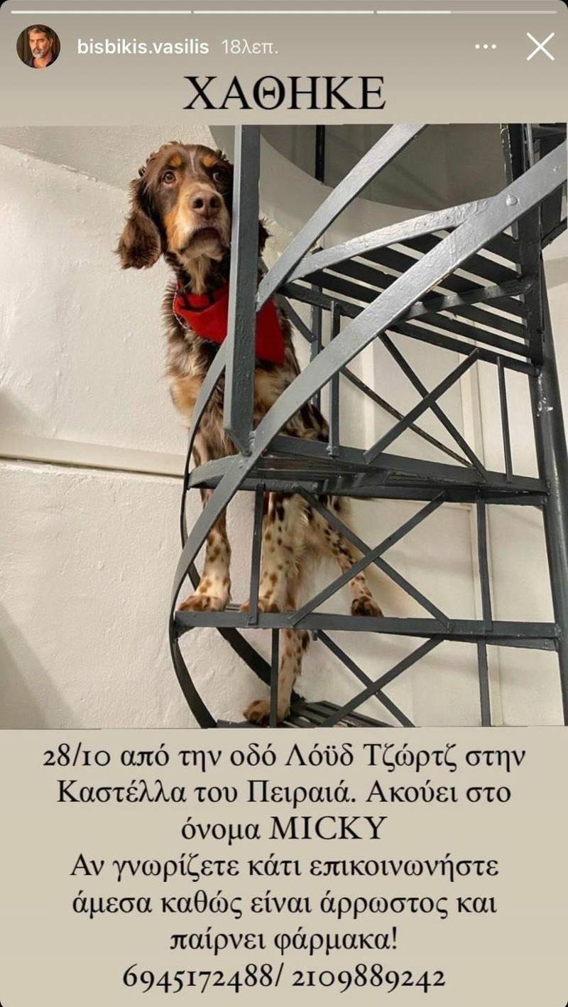 Ανάρτηση Μπισμπίκη
