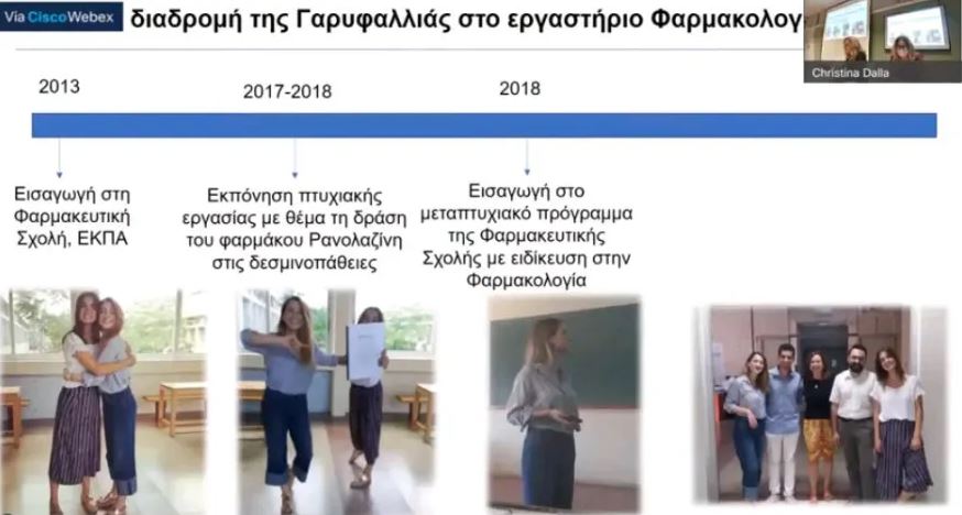 Γαρυφαλλιά