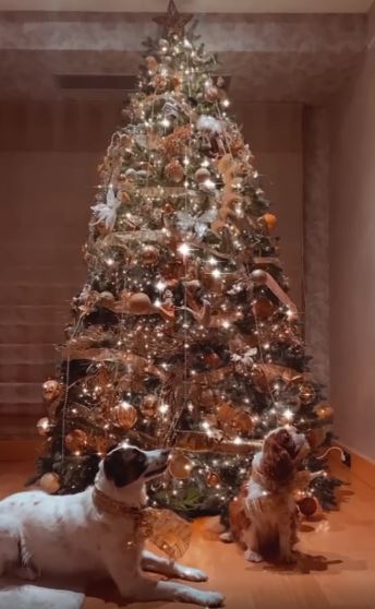 Τατιάνα Στεφανίδου χριστουγεννιάτικο δέντρο 