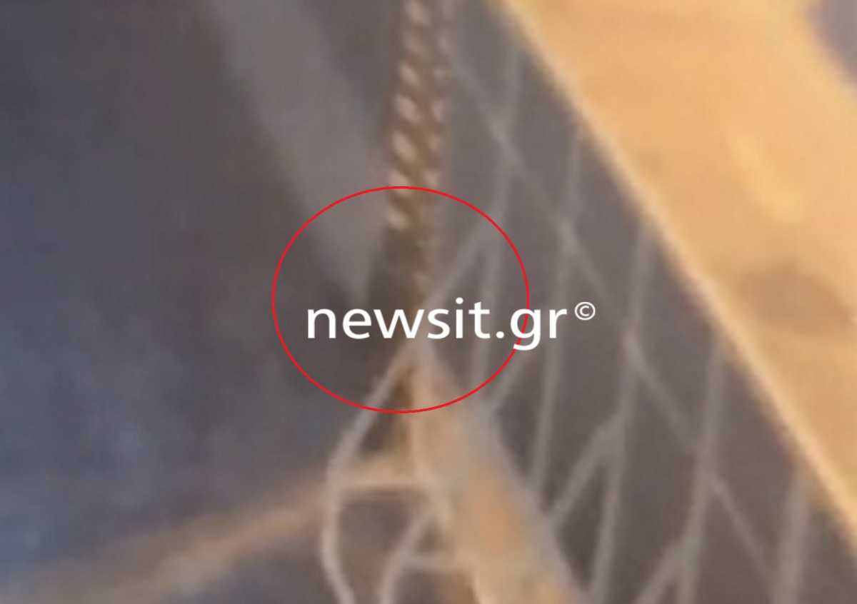 Κερατσίνι 8χρονη