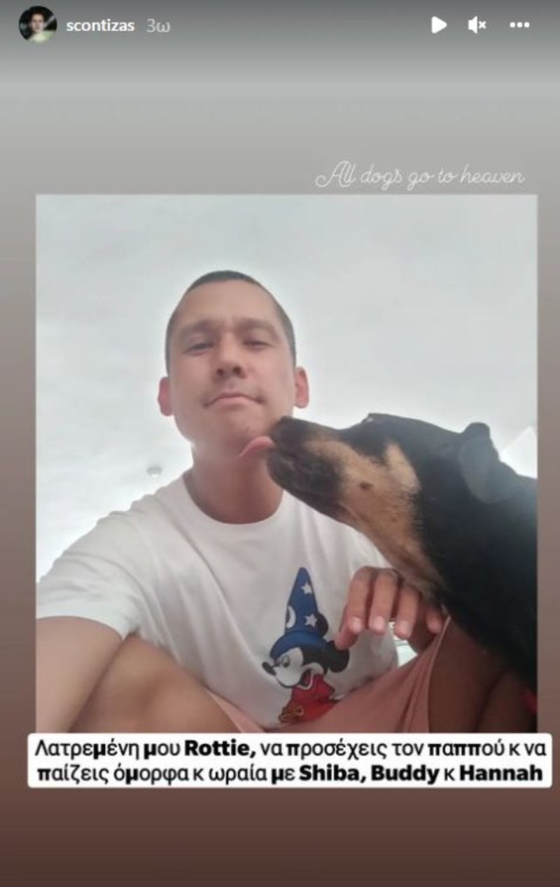 Σωτήρης Κοντιζάς σκυλίτσα 