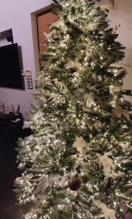 Τζούλια Νόβα