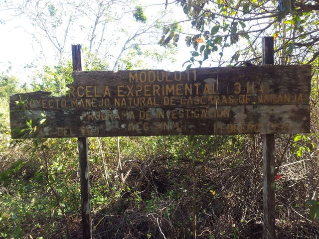 δάσος πινακίδα