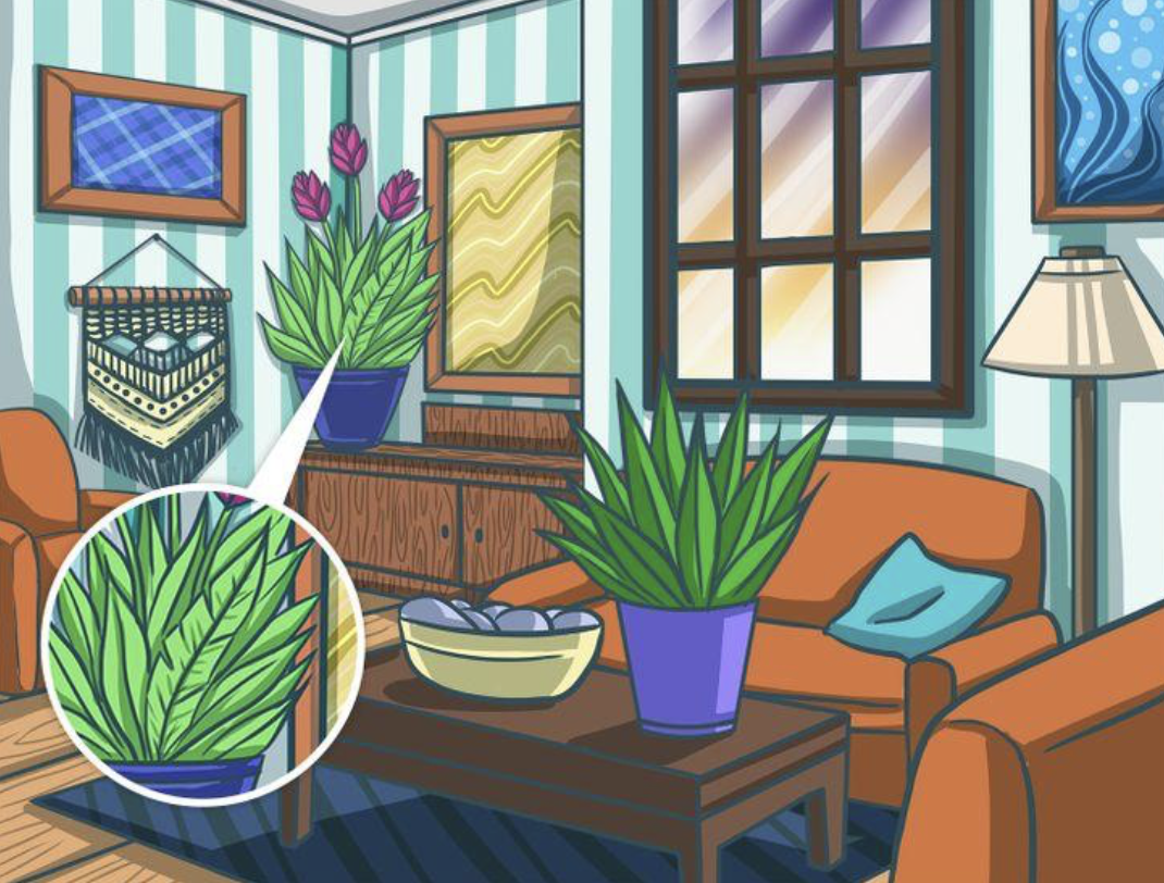 παρατηρητικότητα