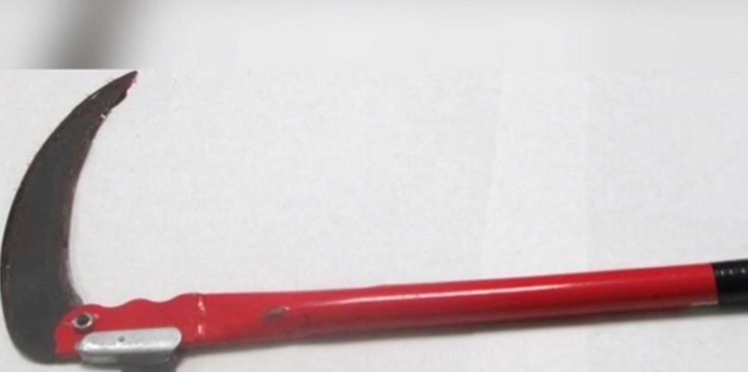 Δολοφονία 129χρονου Άλκη δρεπάνι 