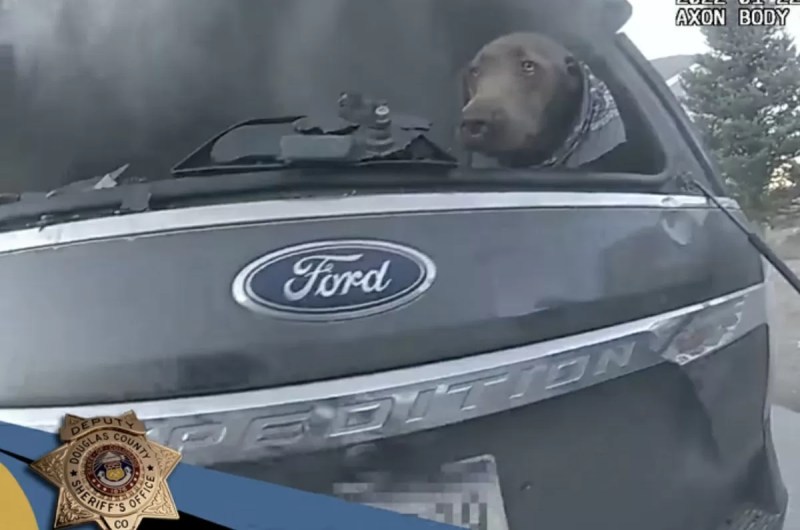 αυτοκίνητο