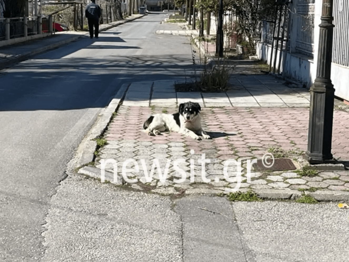 Θεσσαλονίκη