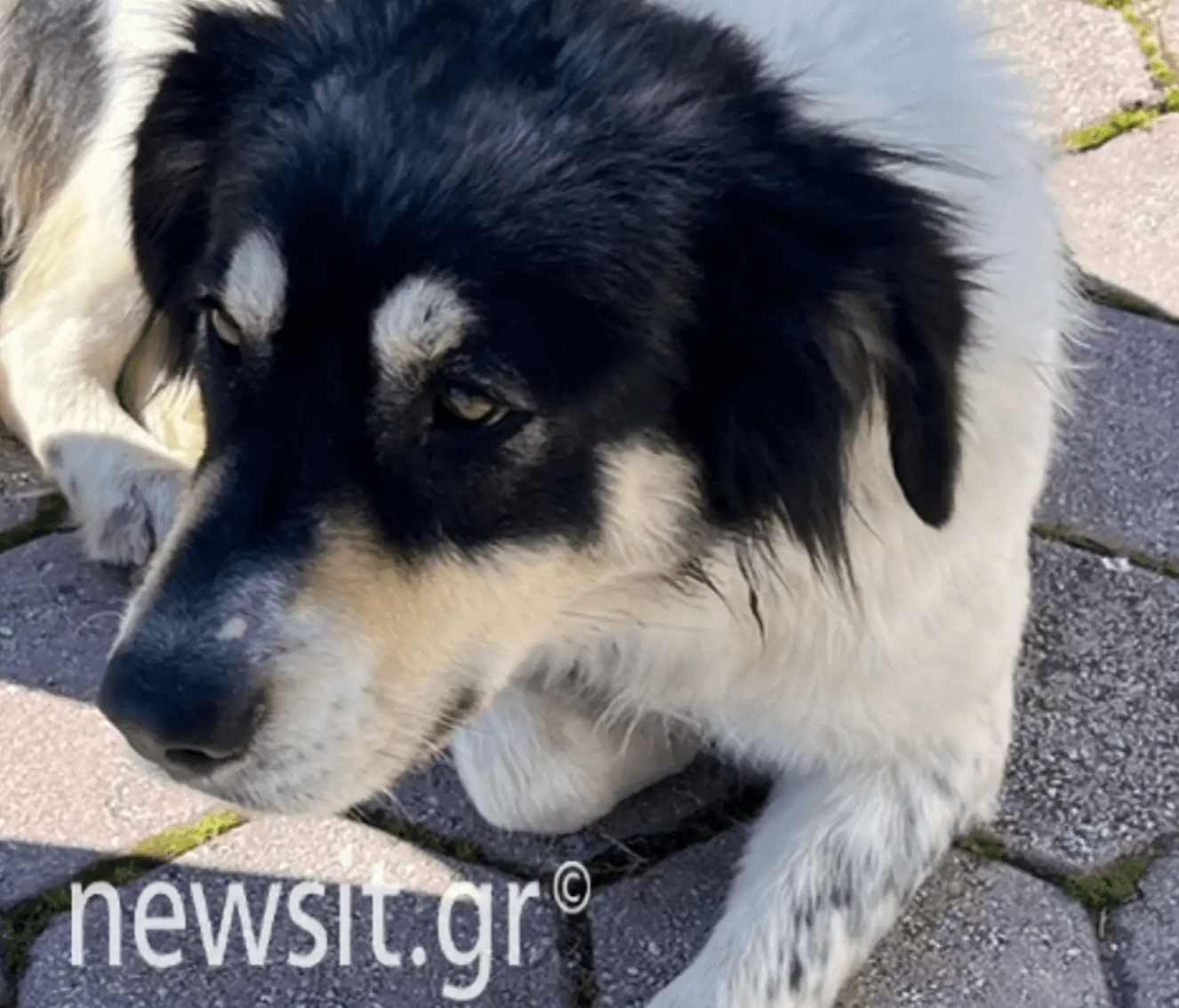 Θεσσαλονίκη