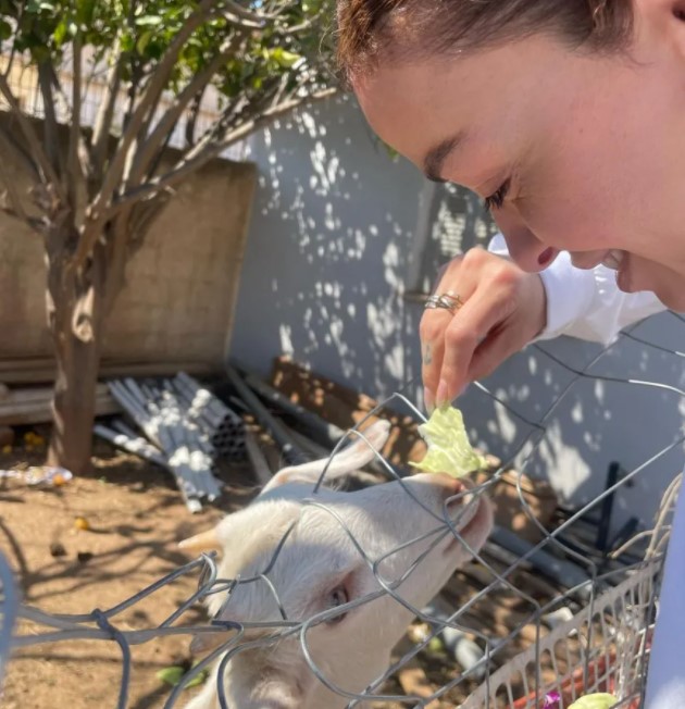 Ελένη Φουρέιρα