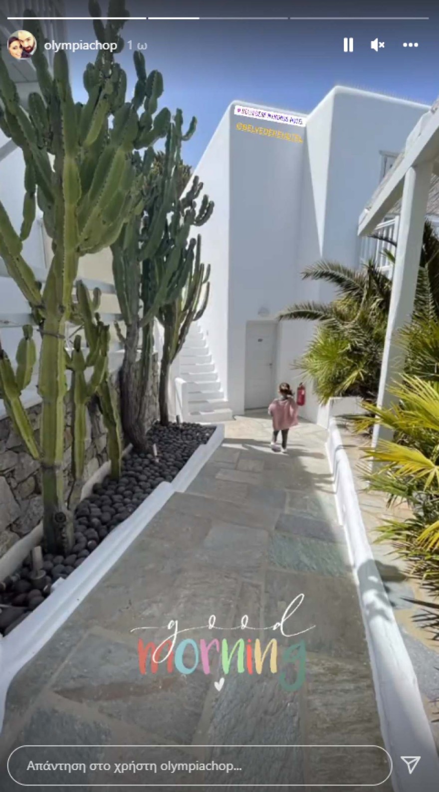 Ολυμπία Χοψονίδου και Βασίλης Σπανούλης στη Μύκονο 