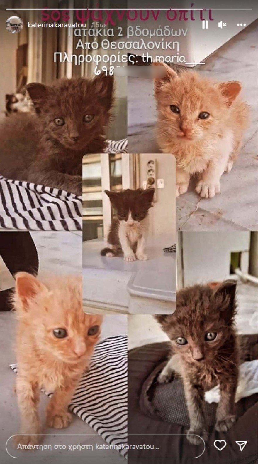 Κατερίνα Καραβάτου