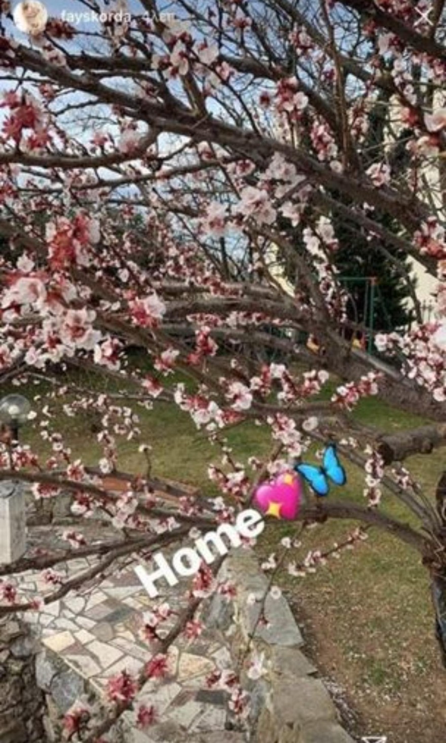 Φαίη Σκορδά πατρικό σπίτι