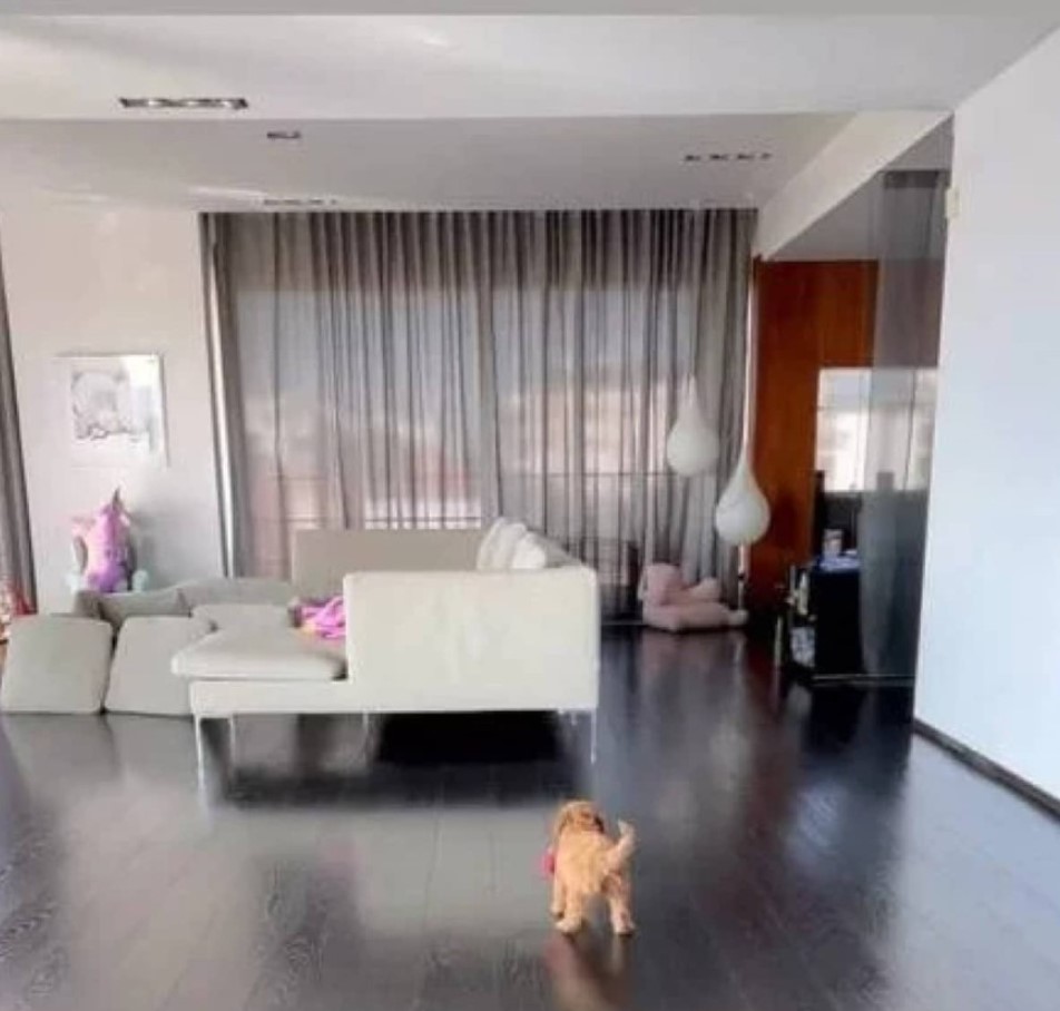 Πέγκυ Ζήνα Γιώργος Λύρας