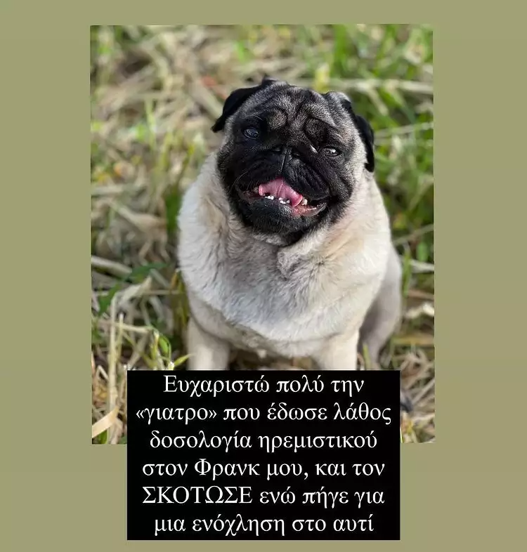 Ο James Καφετζής έχασε τον σκύλο του 