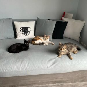 Καπουτζίδης